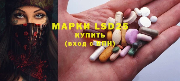 прущие грибы Богданович
