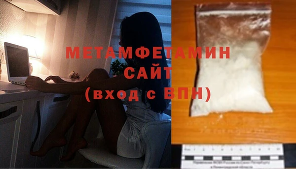 прущие грибы Богданович