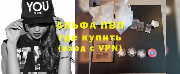 прущие грибы Богданович
