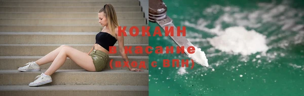 прущие грибы Богданович