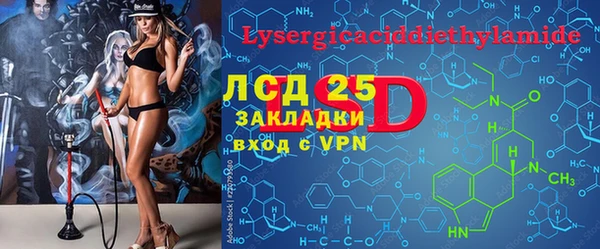 прущие грибы Богданович