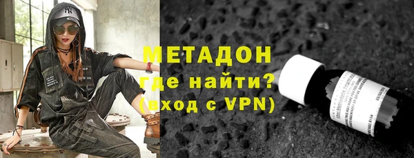 прущие грибы Богданович