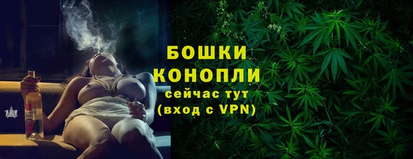 прущие грибы Богданович